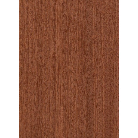 CHAPA MADERA SAPELY 22MM S/COLA