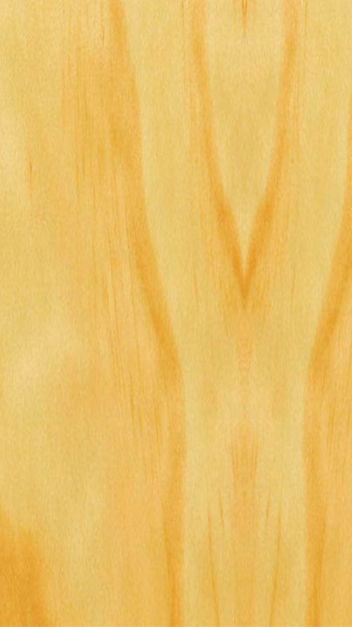 ML CHAPA MADERA PINO GALLEGO 47 MM C/COLA