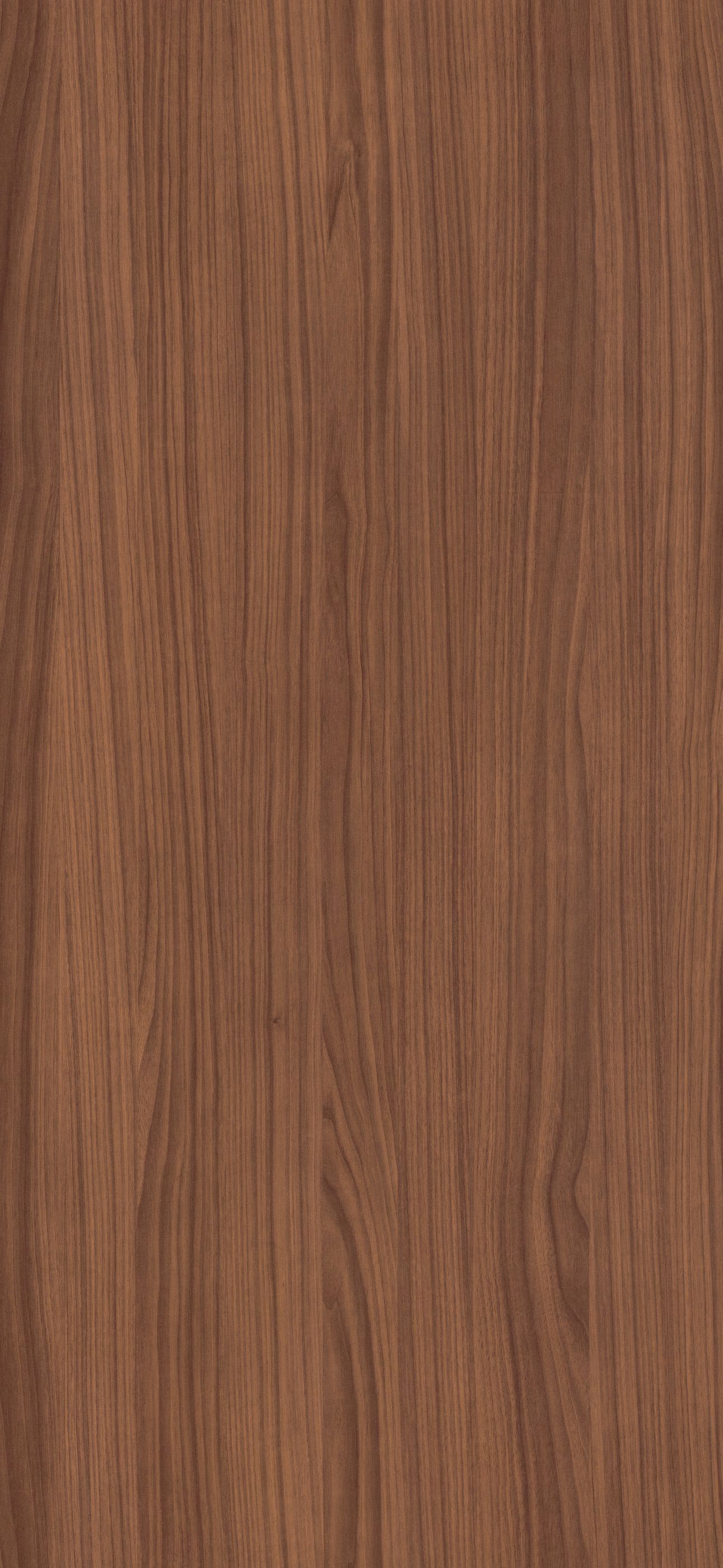 CANTO MELAMINA NOGAL 5014  C/COLA 40 MM